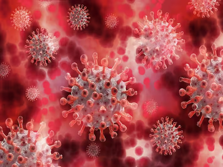 Mers-CoV: The new virus found in Abu Dhabi in the UAE.